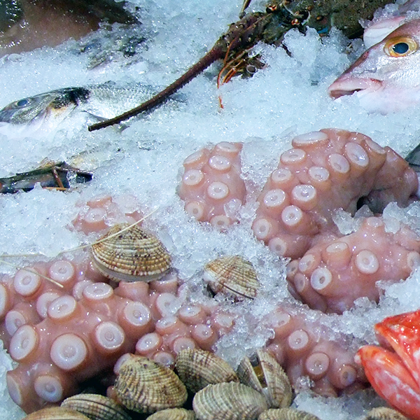 What should we pay attention to when eating squid?